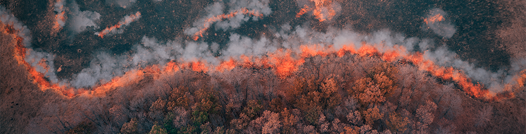 Stock image of a wildfire line in a forest from above with smoke rising