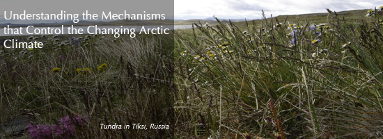 Tundra in Tiksi, Russia