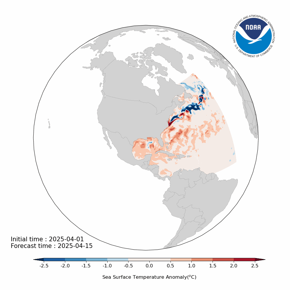 Regional MOM6 Northwest Atlantic Region Sea Surface Temperature Latest Forecast
