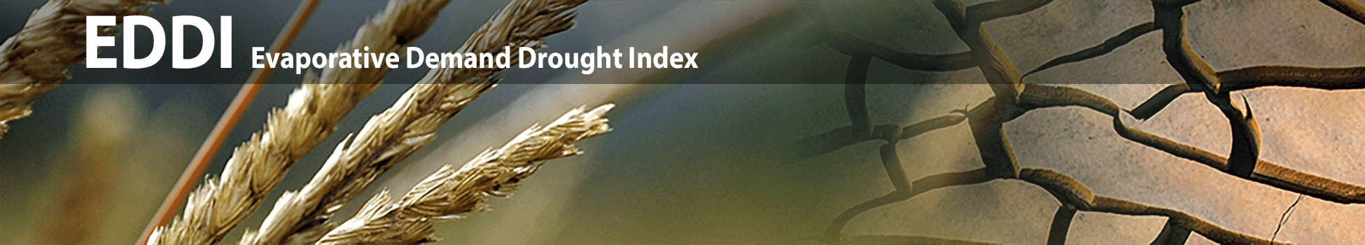 Evaporative Demand Drought Index (EDDI)