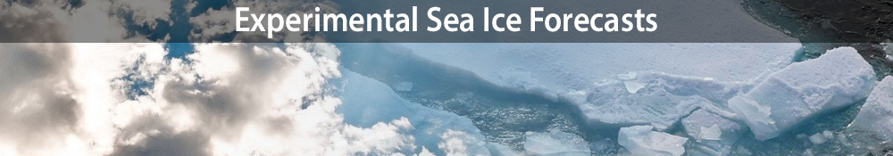 Experimental Sea Ice Forecasts
