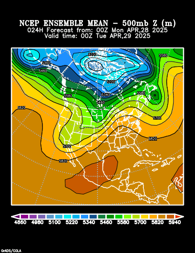 NCEP Ensemble t = 024 hour forecast product