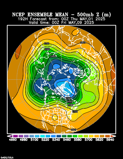 NCEP Ensemble forecast product