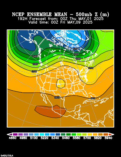 NCEP Ensemble forecast product