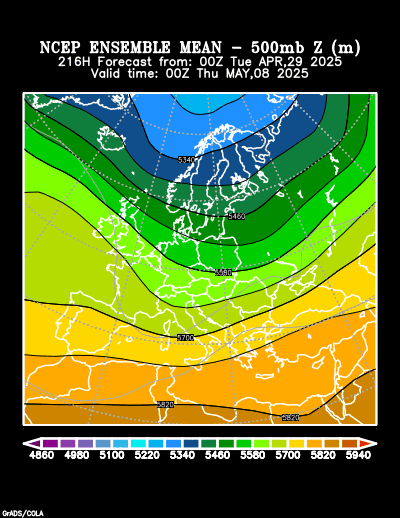 NCEP Ensemble t = 216 hour forecast product