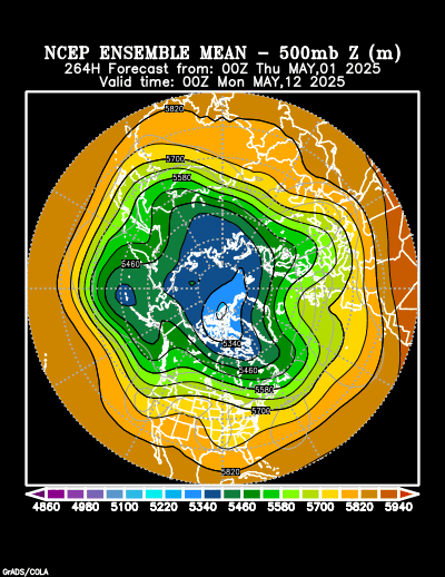 NCEP Ensemble t = 264 hour forecast product