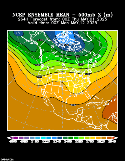 NCEP Ensemble t = 264 hour forecast product