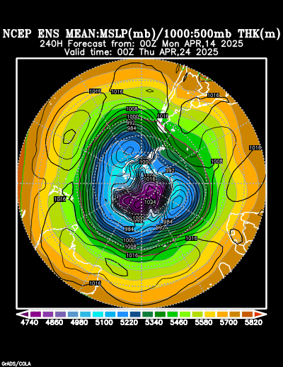 NCEP Ensemble t = 240 hour forecast product