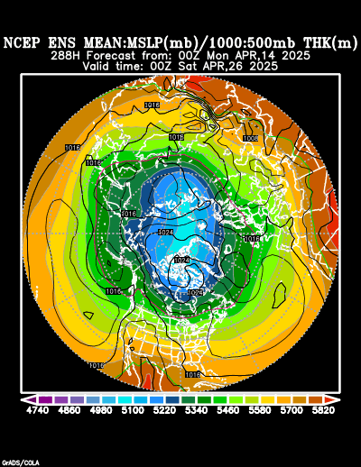 NCEP Ensemble t = 288 hour forecast product