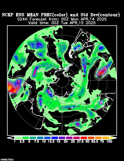 NCEP Ensemble t = 024 hour forecast product