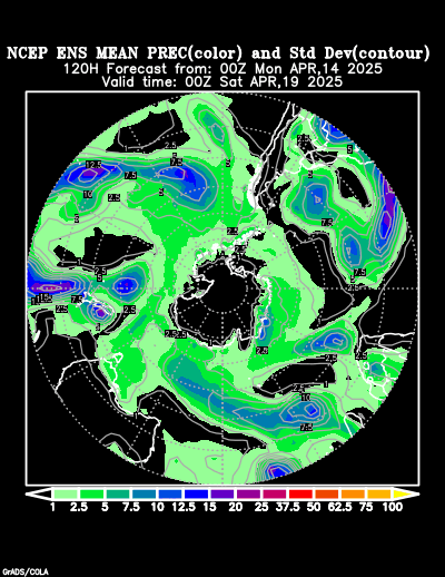 NCEP Ensemble t = 120 hour forecast product