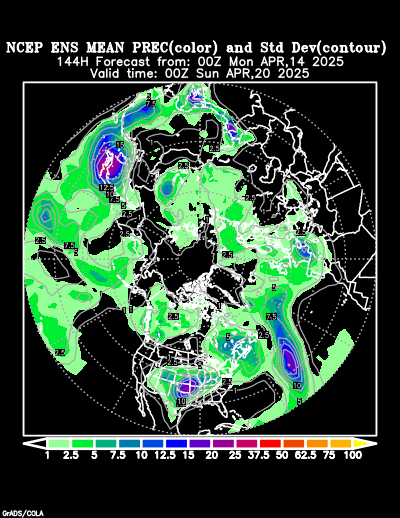 NCEP Ensemble forecast product