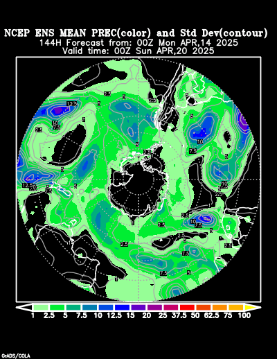 NCEP Ensemble t = 144 hour forecast product