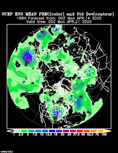 NCEP Ensemble t = 168 hour forecast product