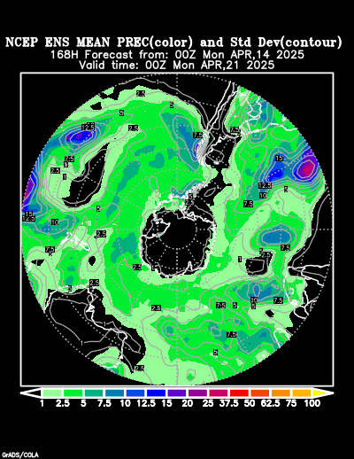 NCEP Ensemble forecast product