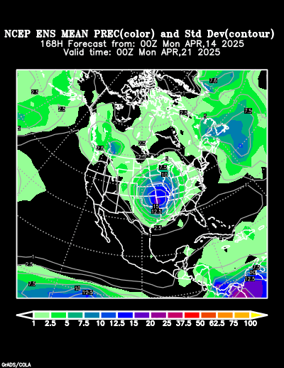 NCEP Ensemble t = 168 hour forecast product