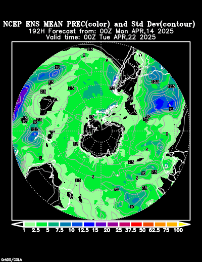 NCEP Ensemble forecast product