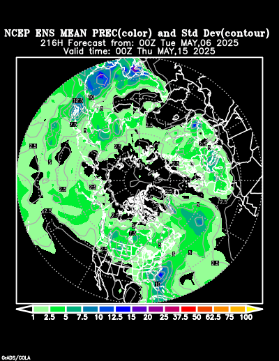 NCEP Ensemble forecast product