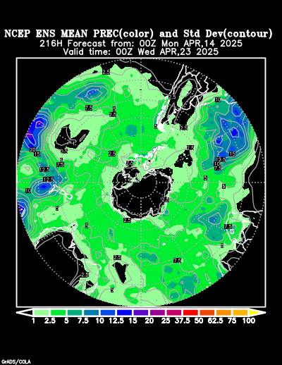 NCEP Ensemble t = 216 hour forecast product