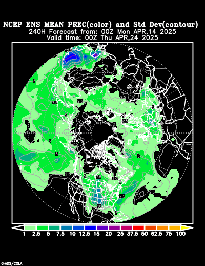 NCEP Ensemble forecast product