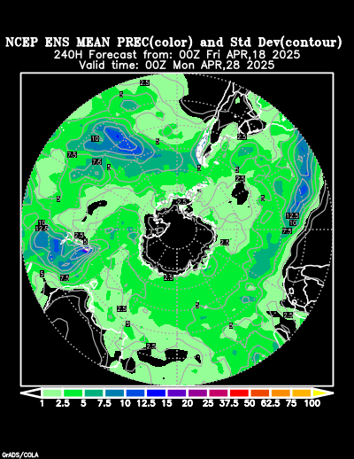 NCEP Ensemble t = 240 hour forecast product