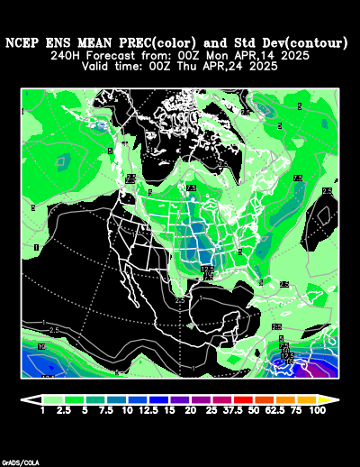 NCEP Ensemble t = 240 hour forecast product