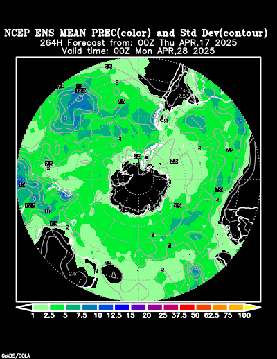 NCEP Ensemble forecast product