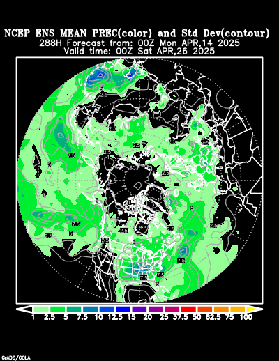 NCEP Ensemble forecast product