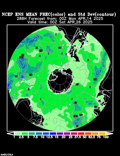 NCEP Ensemble forecast product