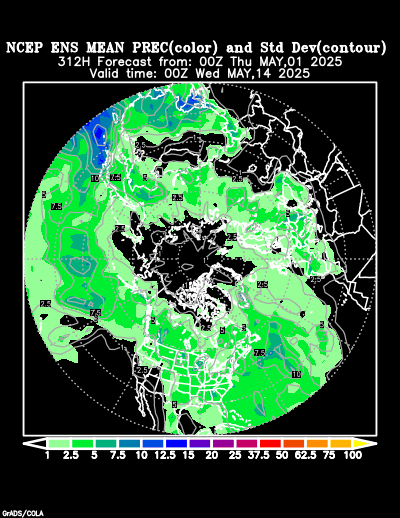 NCEP Ensemble t = 312 hour forecast product