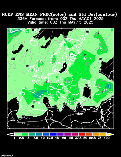 NCEP Ensemble t = 336 hour forecast product