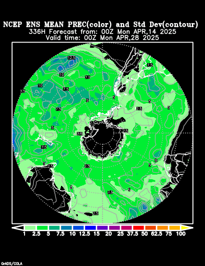 NCEP Ensemble t = 336 hour forecast product