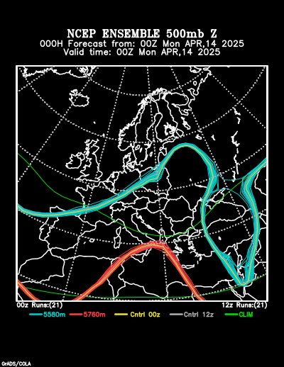 NCEP Ensemble t = 000 hour forecast product