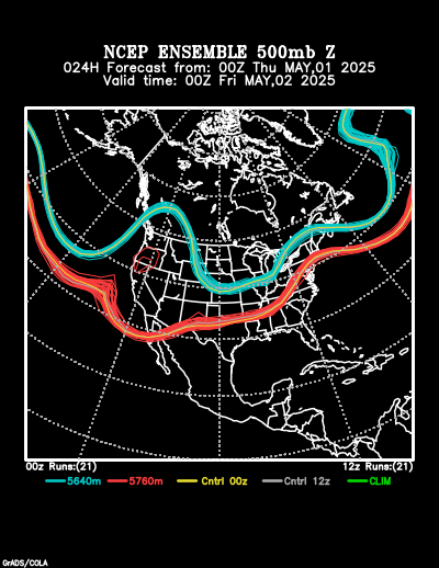 NCEP Ensemble t = 024 hour forecast product