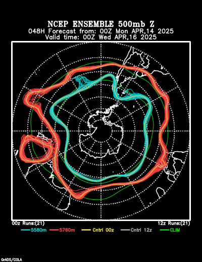 NCEP Ensemble t = 048 hour forecast product