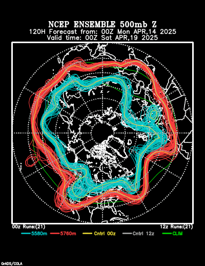 NCEP Ensemble t = 120 hour forecast product