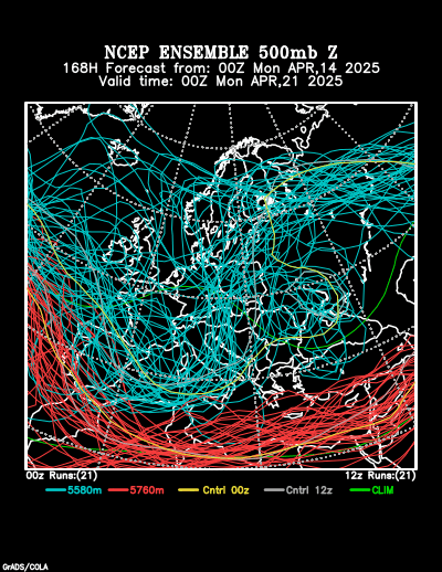 NCEP Ensemble t = 168 hour forecast product