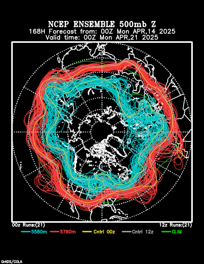 NCEP Ensemble t = 168 hour forecast product