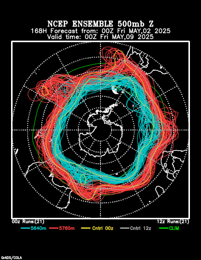 NCEP Ensemble t = 168 hour forecast product