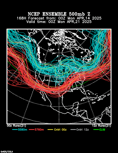 NCEP Ensemble t = 168 hour forecast product