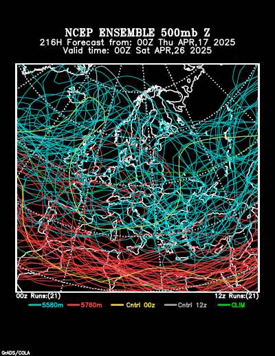 NCEP Ensemble t = 216 hour forecast product