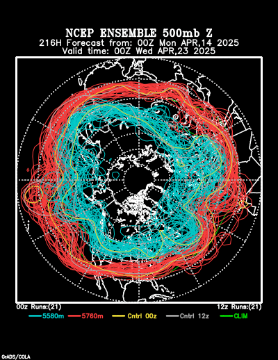 NCEP Ensemble forecast product