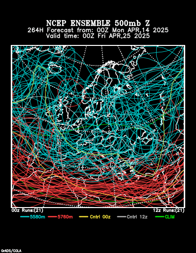 NCEP Ensemble t = 264 hour forecast product