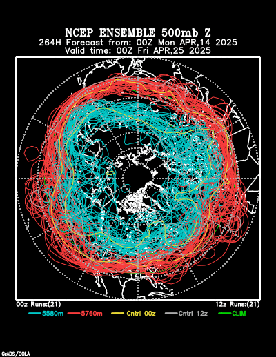 NCEP Ensemble forecast product