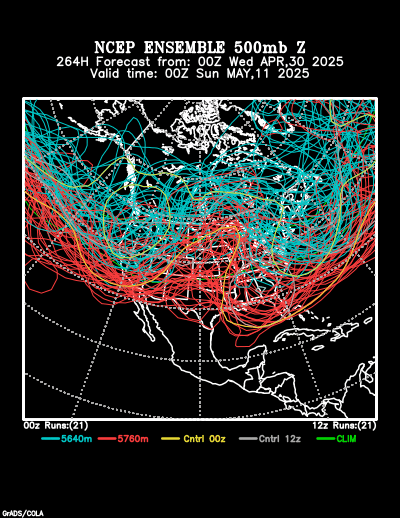 NCEP Ensemble t = 264 hour forecast product