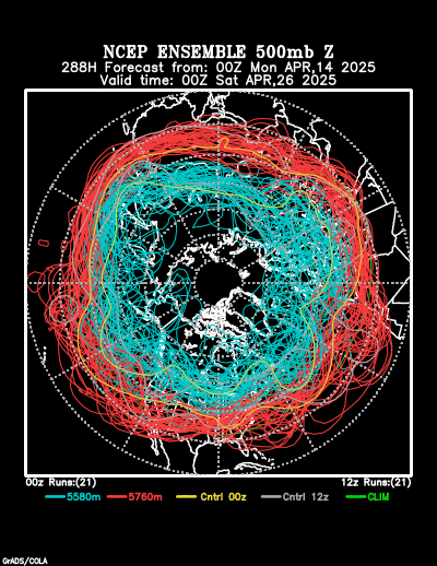 NCEP Ensemble t = 288 hour forecast product