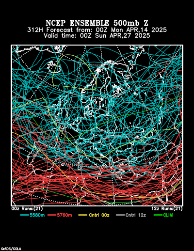 NCEP Ensemble t = 312 hour forecast product