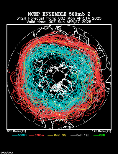 NCEP Ensemble t = 312 hour forecast product