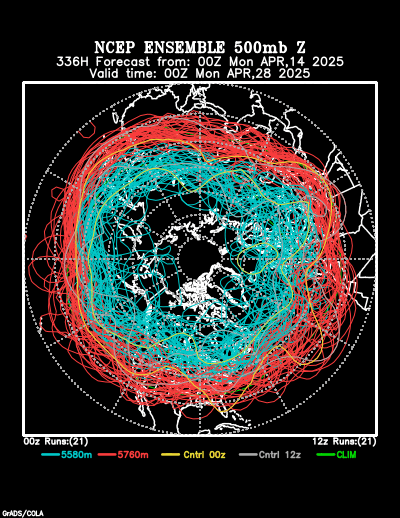 NCEP Ensemble t = 336 hour forecast product