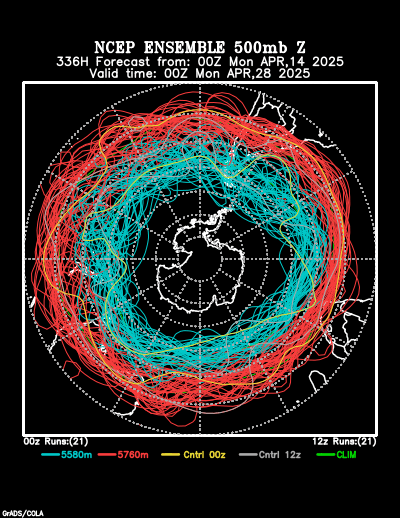 NCEP Ensemble t = 336 hour forecast product